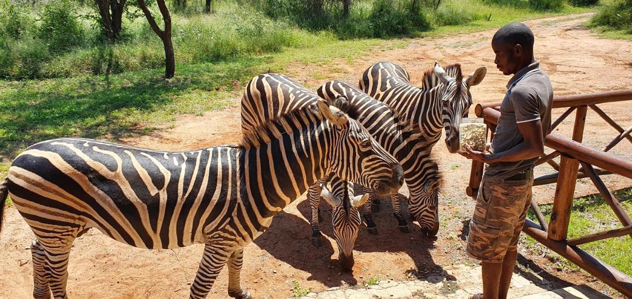Вилла Giraffe Plains Марлот-Парк Экстерьер фото