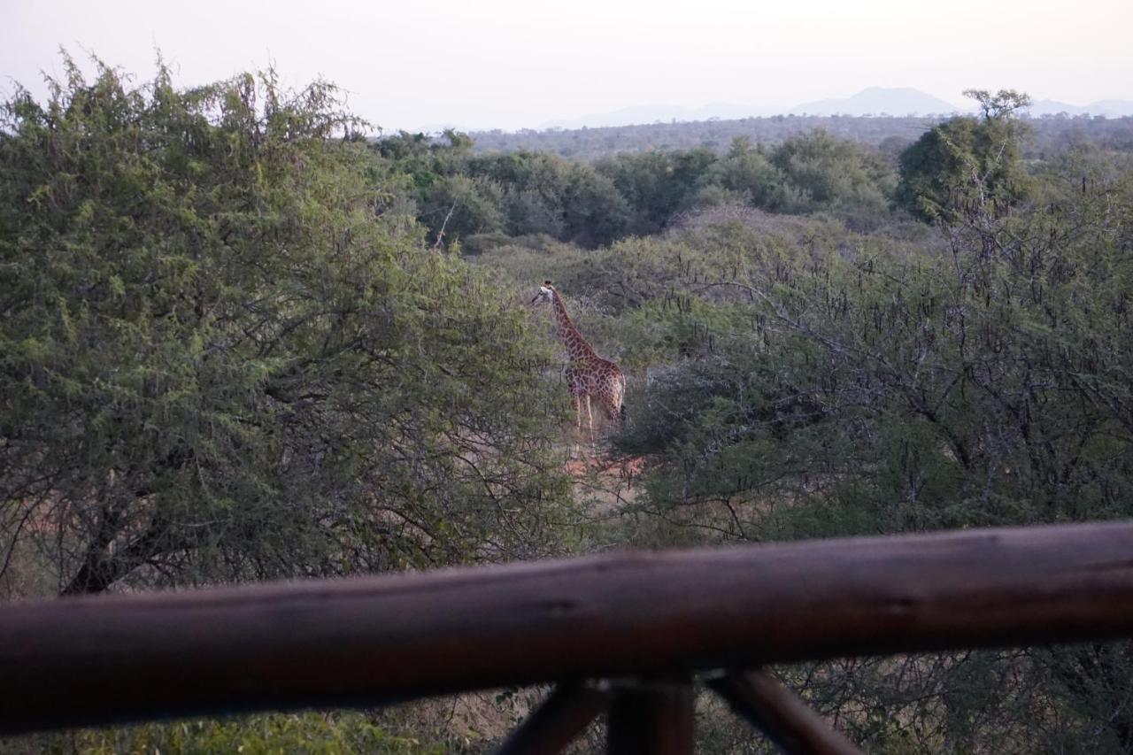 Вилла Giraffe Plains Марлот-Парк Экстерьер фото