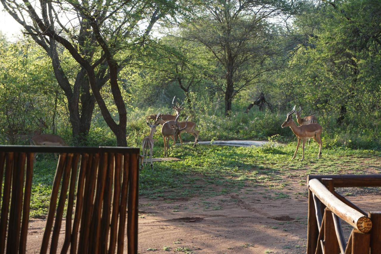 Вилла Giraffe Plains Марлот-Парк Экстерьер фото